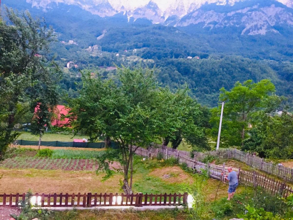 Guest House Rrashkadoli Theth Kültér fotó